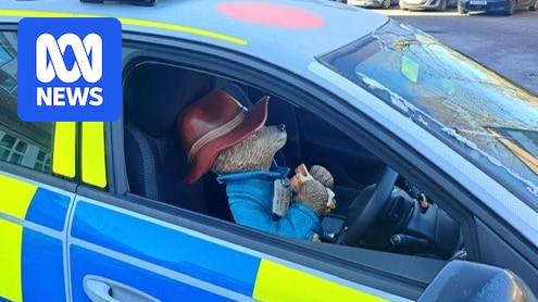 RAF Engineers Fined for Vandalizing Paddington Statue